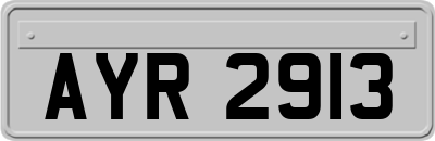 AYR2913