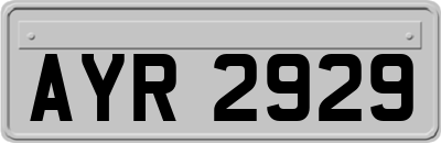 AYR2929