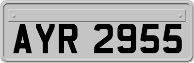 AYR2955