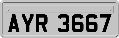 AYR3667