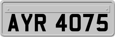 AYR4075