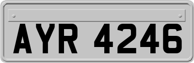 AYR4246
