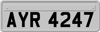 AYR4247