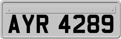 AYR4289
