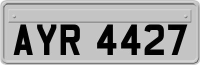 AYR4427
