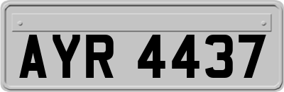 AYR4437