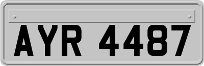 AYR4487