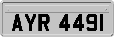 AYR4491