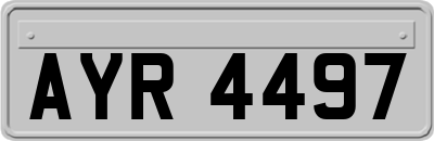 AYR4497