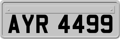 AYR4499