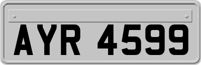 AYR4599