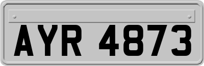 AYR4873