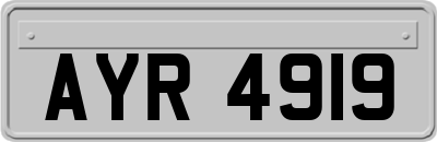 AYR4919