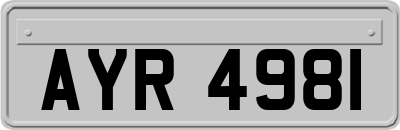 AYR4981
