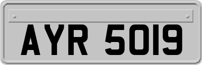 AYR5019