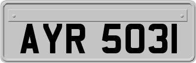 AYR5031