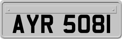 AYR5081