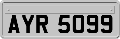 AYR5099