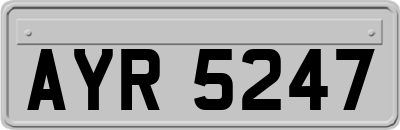 AYR5247