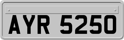 AYR5250