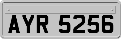 AYR5256