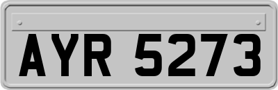 AYR5273