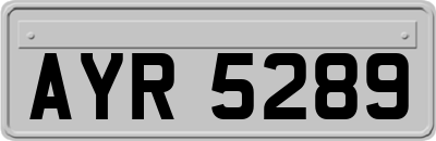 AYR5289