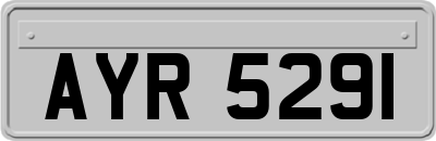 AYR5291