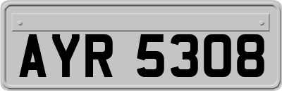 AYR5308