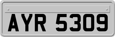 AYR5309