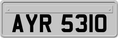 AYR5310