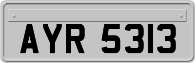 AYR5313