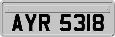 AYR5318