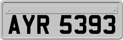 AYR5393