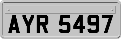 AYR5497