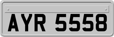 AYR5558