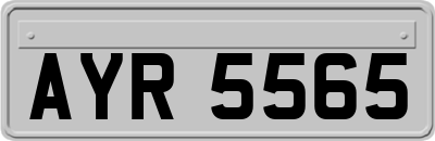 AYR5565