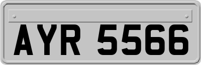 AYR5566