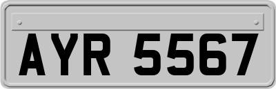 AYR5567