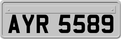 AYR5589