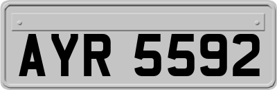 AYR5592
