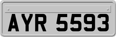 AYR5593