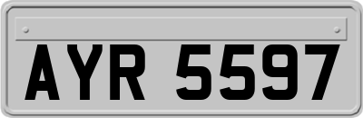 AYR5597