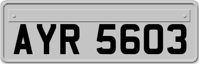 AYR5603
