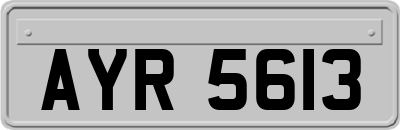 AYR5613