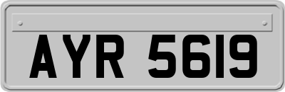 AYR5619