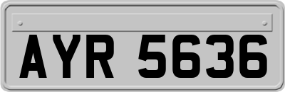 AYR5636