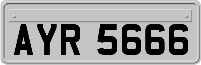AYR5666