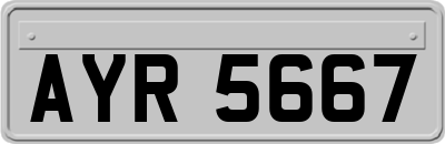 AYR5667