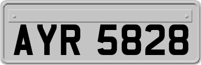 AYR5828